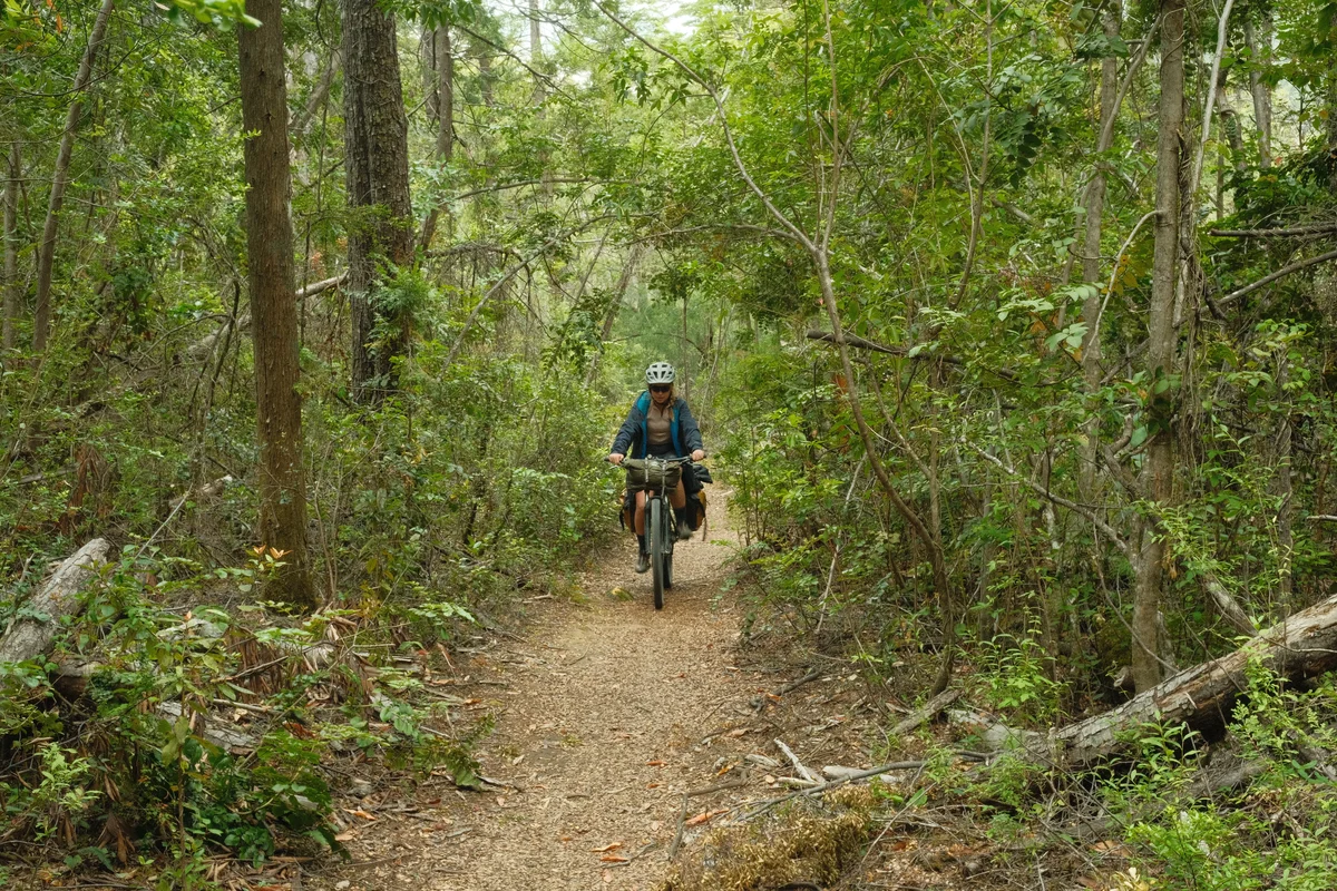 Border crossing through the jungle