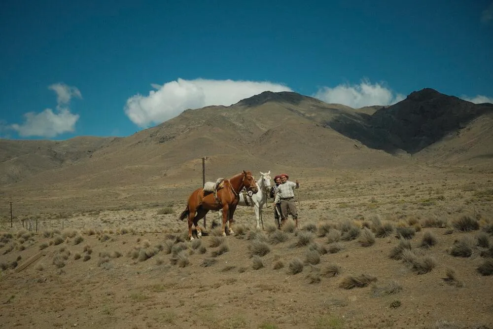 Gauchos on horseback in the Patagonian steppe