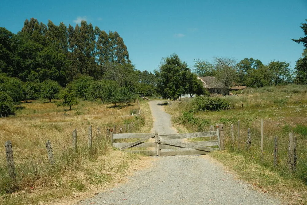 Riding through Chilean farmland